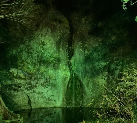 布引の滝の写真・動画_image_874443