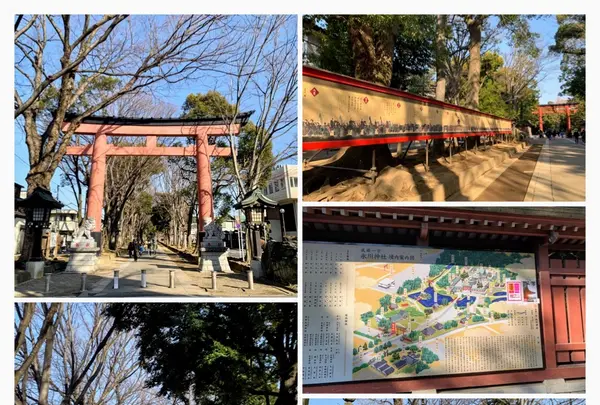 武蔵一宮 氷川神社の写真・動画_image_875009