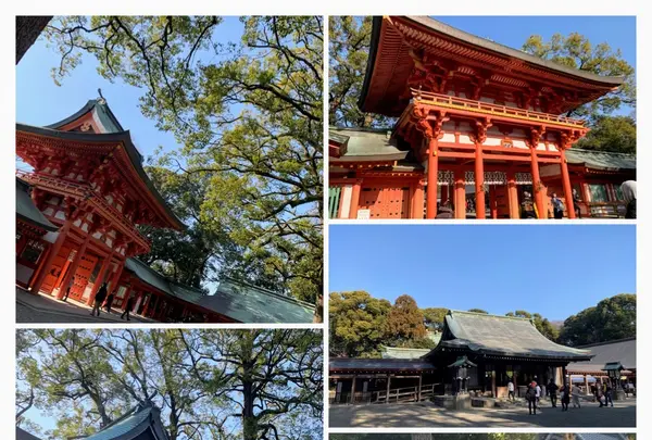 武蔵一宮 氷川神社の写真・動画_image_875010