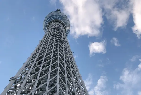 東京スカイツリーの写真・動画_image_878257