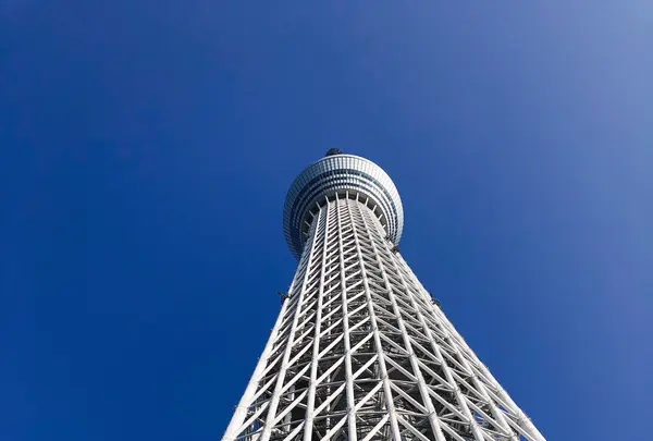 東京スカイツリーの写真・動画_image_878258