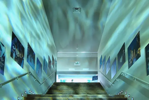 すみだ水族館の写真・動画_image_878261