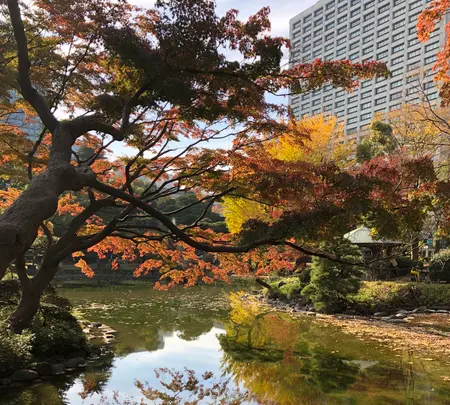 日比谷公園の写真・動画_image_878273