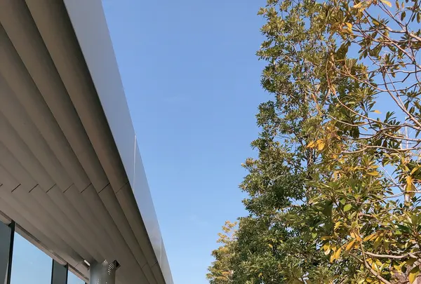 ギンザ シックス（GINZA SIX）の写真・動画_image_878277