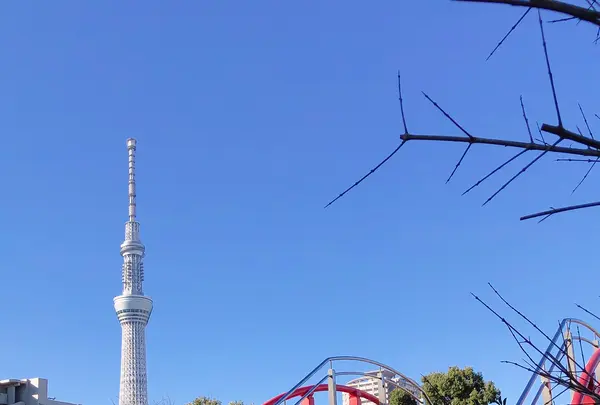 亀戸天神社の写真・動画_image_878287