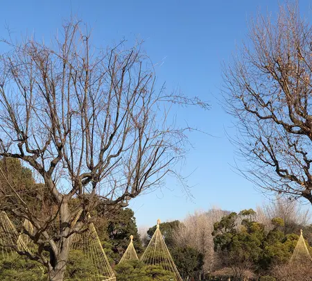 隅田公園の写真・動画_image_878301