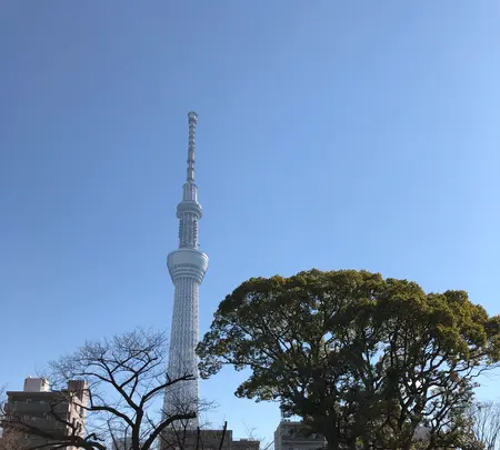 隅田公園の写真・動画_image_878302