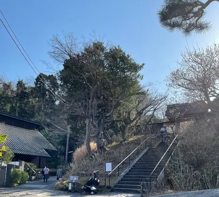 東慶寺の写真・動画_image_880719
