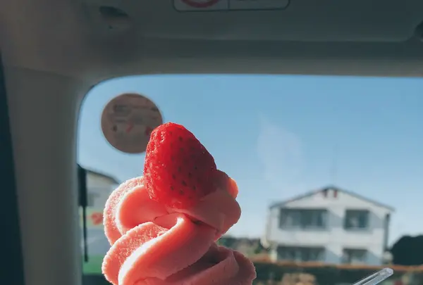 苺の里 Strawberry Gardenの写真・動画_image_882227