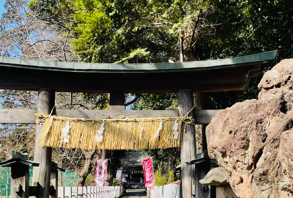 馬場氷川神社の写真・動画_image_883741