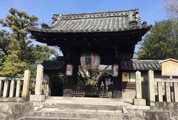 日限地蔵安祥院の写真・動画_image_884679