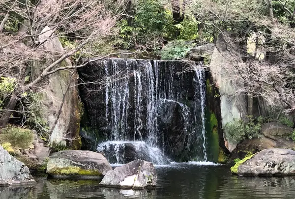 好古園の写真・動画_image_886955