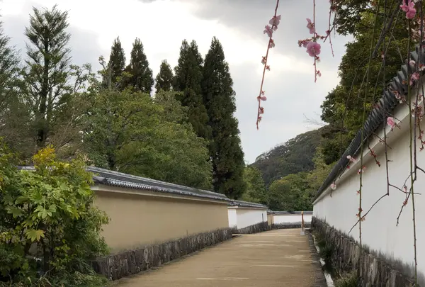 好古園の写真・動画_image_886956
