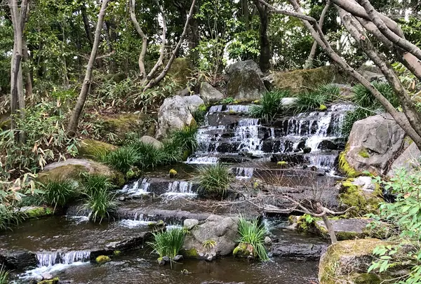 好古園の写真・動画_image_886962