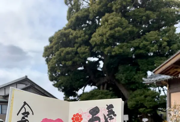 九重神社の写真・動画_image_888354
