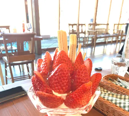 いちごの里の写真・動画_image_888359