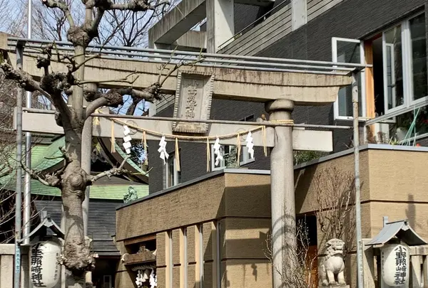 小野照崎神社の写真・動画_image_888364