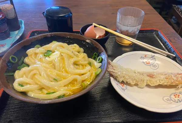 手打十段うどん バカ一代の写真・動画_image_888726