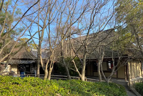 ざいごうどん 本家 わら家の写真・動画_image_888738