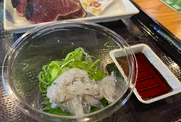 ひろめ市場の写真・動画_image_889678