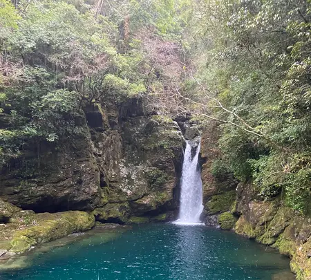 にこ淵の写真・動画_image_889859