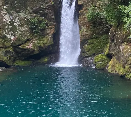 にこ淵の写真・動画_image_889861