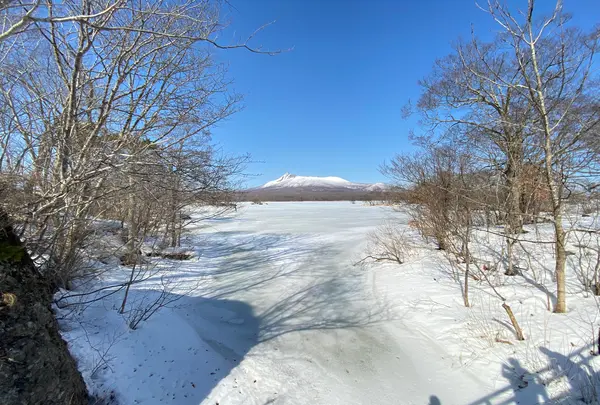 大沼国定公園の写真・動画_image_890249
