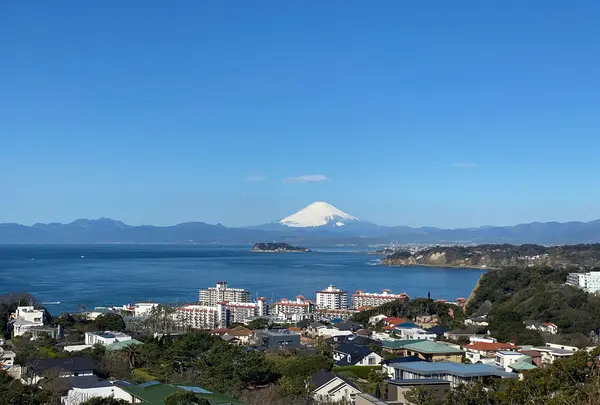 披露山公園の写真・動画_image_890698