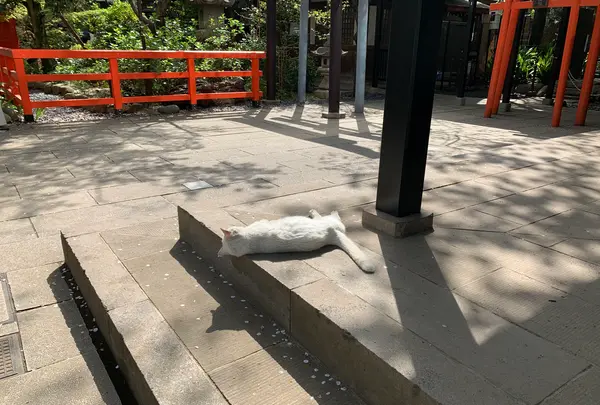 愛宕神社の写真・動画_image_898862