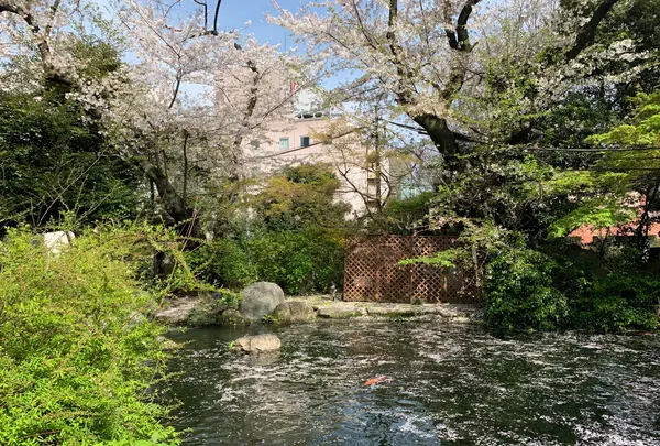 愛宕神社の写真・動画_image_898863