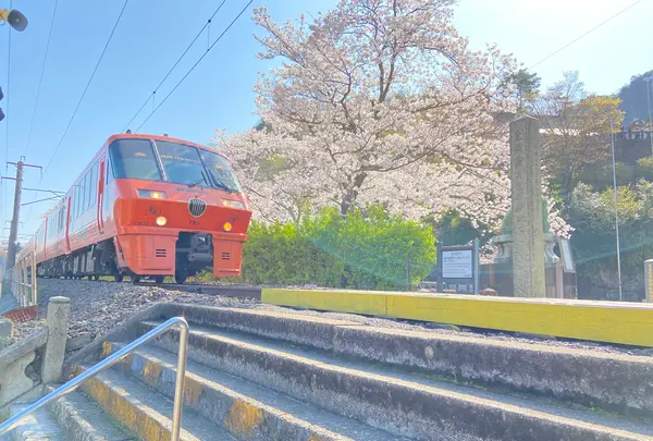 陶山神社の写真・動画_image_899816