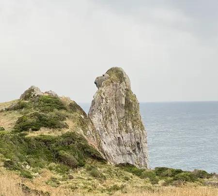 猿岩の写真・動画_image_899832