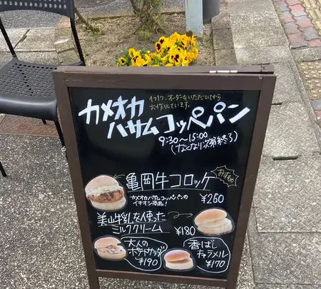 カメオカハサムコッペパンの写真・動画_image_900908