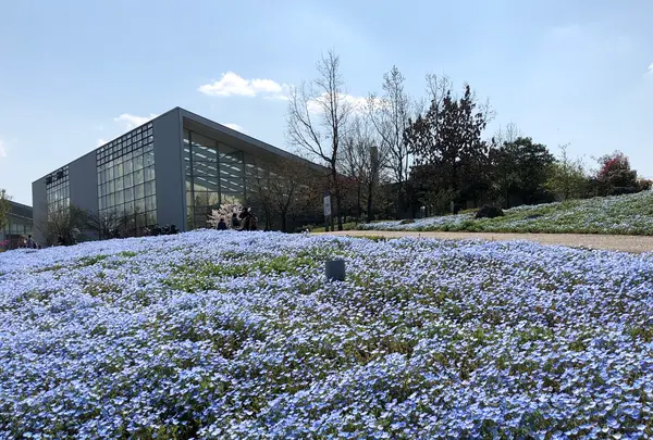 大分農業文化公園の写真・動画_image_901231