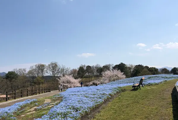 大分農業文化公園の写真・動画_image_901232