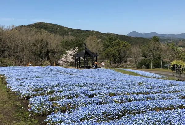 大分農業文化公園の写真・動画_image_901233