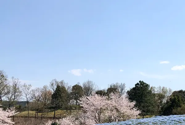 大分農業文化公園の写真・動画_image_901237