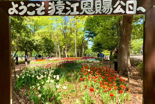 猿江恩賜公園の写真・動画_image_904608