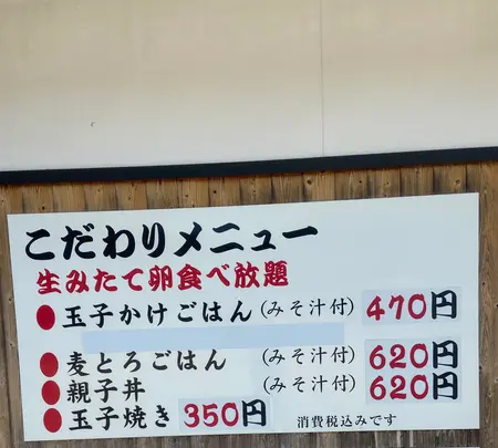 卵庵はしたまの写真・動画_image_905142