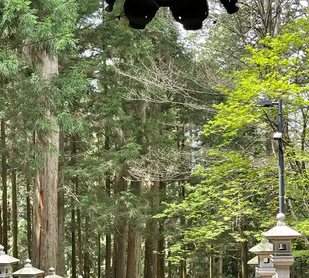 三峰神社 奥宮遥拝殿（見晴台）の写真・動画_image_914491