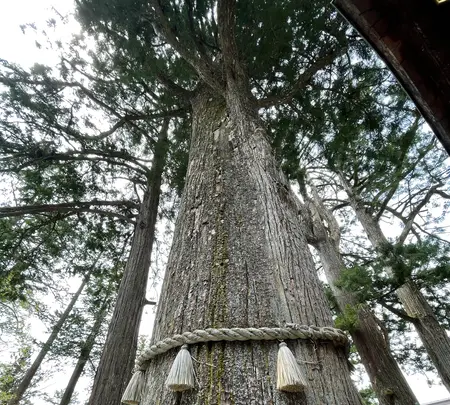 三峰神社 奥宮遥拝殿（見晴台）の写真・動画_image_914502