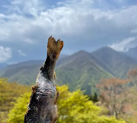 山麓亭三峰お犬茶屋の写真・動画_image_914510