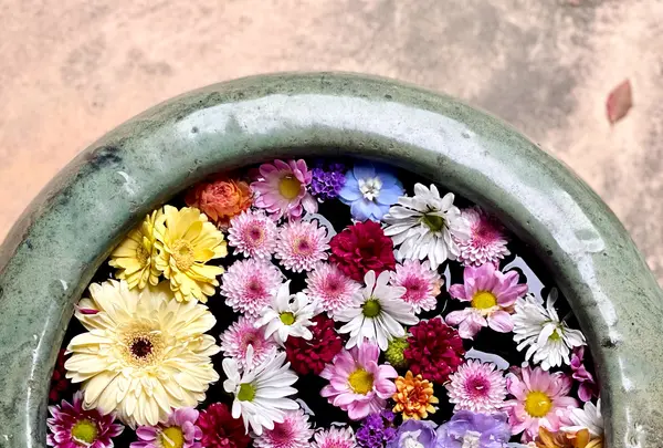 山﨑八幡宮の写真・動画_image_915051