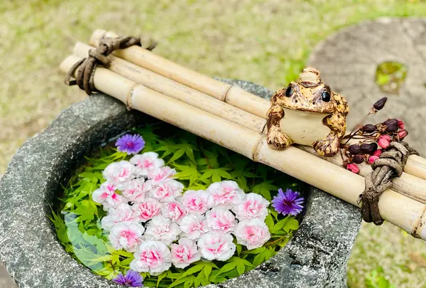 山﨑八幡宮の写真・動画_image_915052