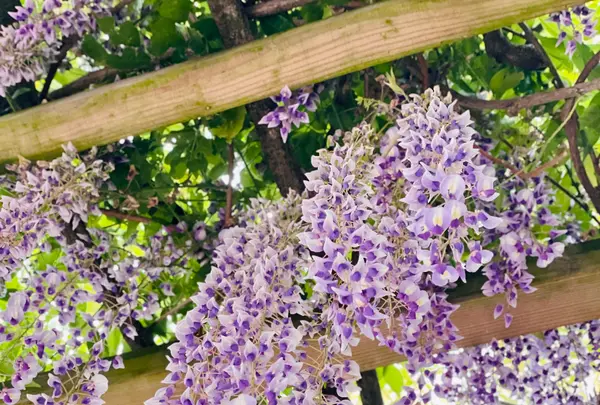 永源山公園の写真・動画_image_915056