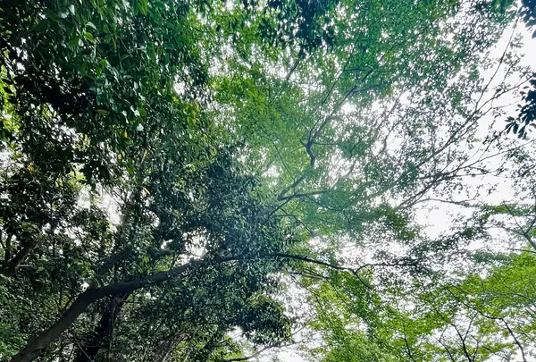 永源山公園の写真・動画_image_915057