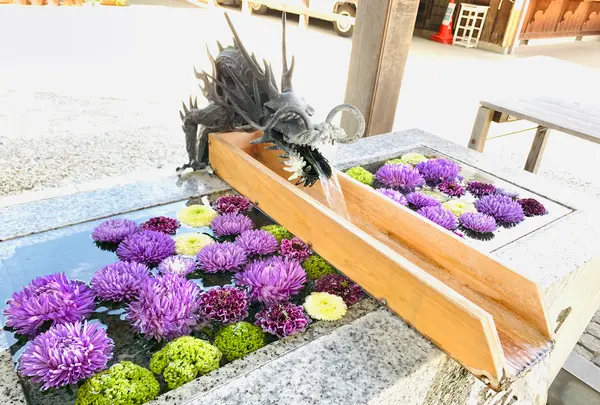 川越八幡宮の写真・動画_image_915934