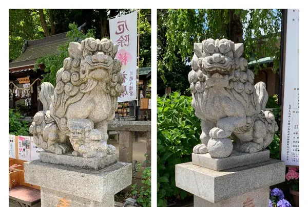 川越八幡宮の写真・動画_image_915937