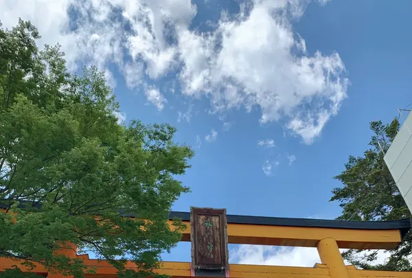 川越氷川神社の写真・動画_image_915952