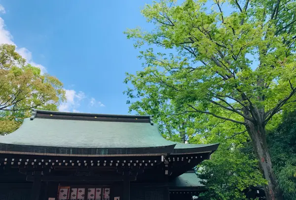 川越氷川神社の写真・動画_image_915954